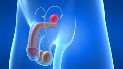 Lubrication sa mga kalalakihan sa panahon ng kaguluhan kung ano ito