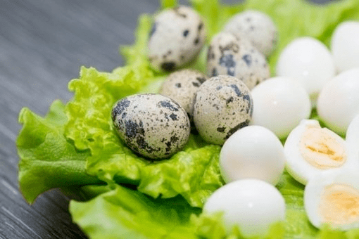 Quail egg para sa potency