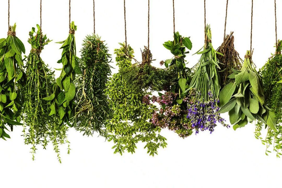 tropikal na herbal extract na nakapaloob sa Erectil